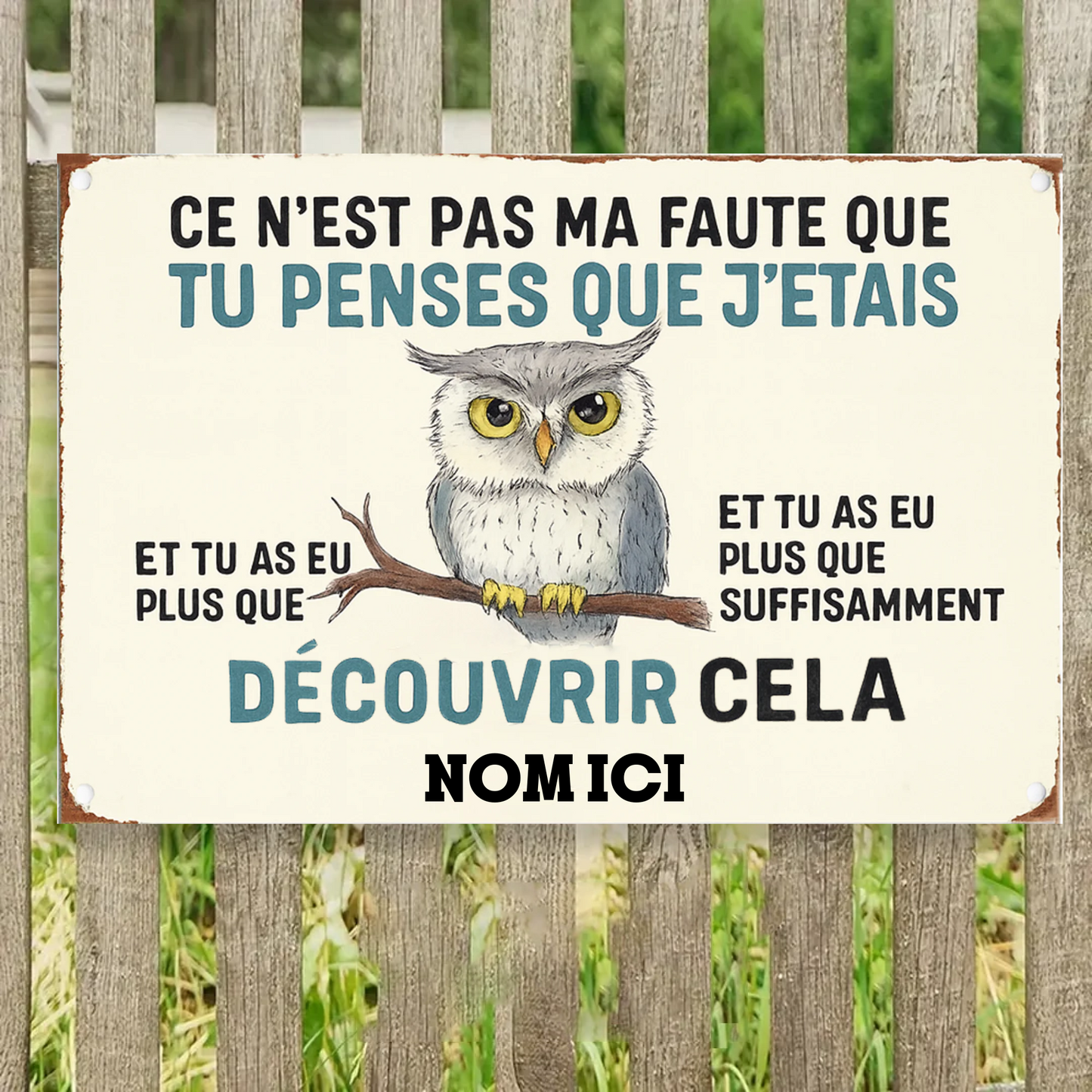 Ce N'est Pas Ma Faute 2207 Personnalisé Enseigne En Métal