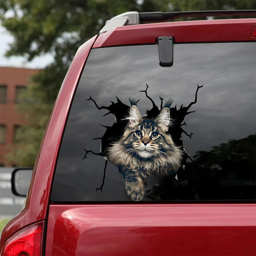 Maine Coon Cat Crack Decals Your Cute Jeans Vehicle Decals Mother's Day Gift Ideas 2023