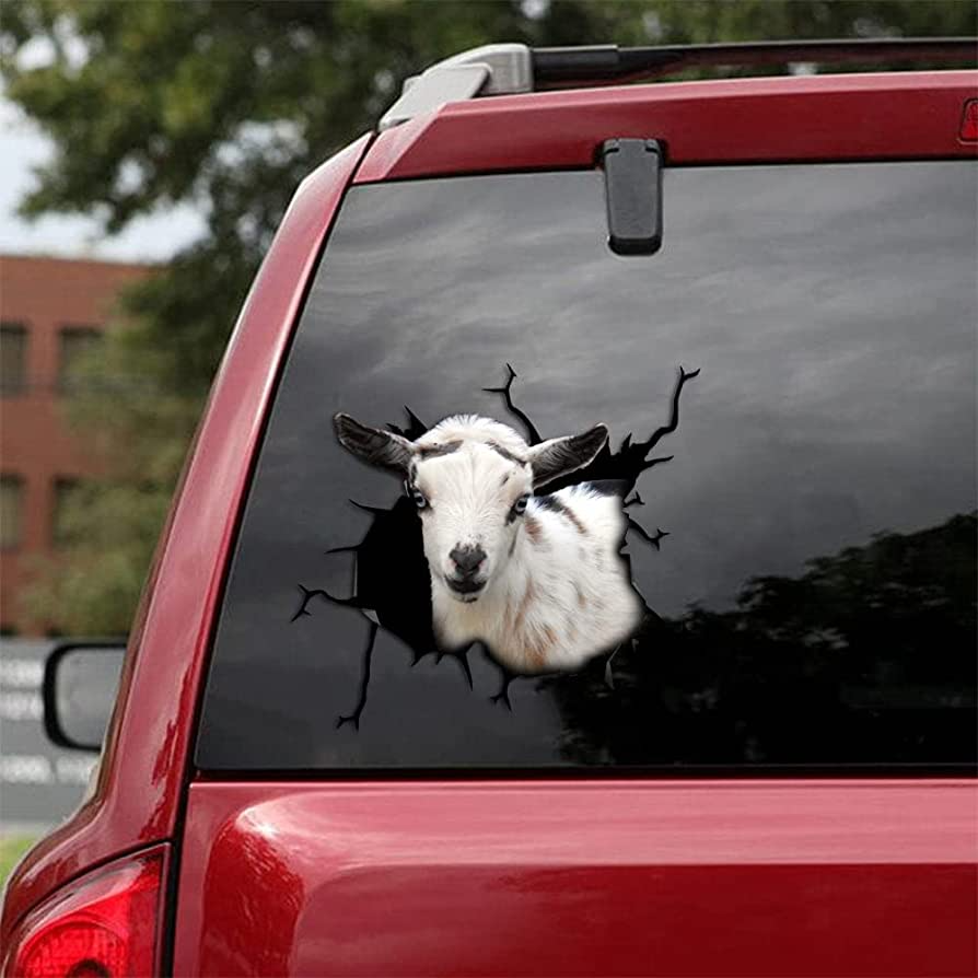 Nigerian Dwarf Goat Crack Sticker For Car Funny Quotes Big Stickers Anniversary Gift For Wife