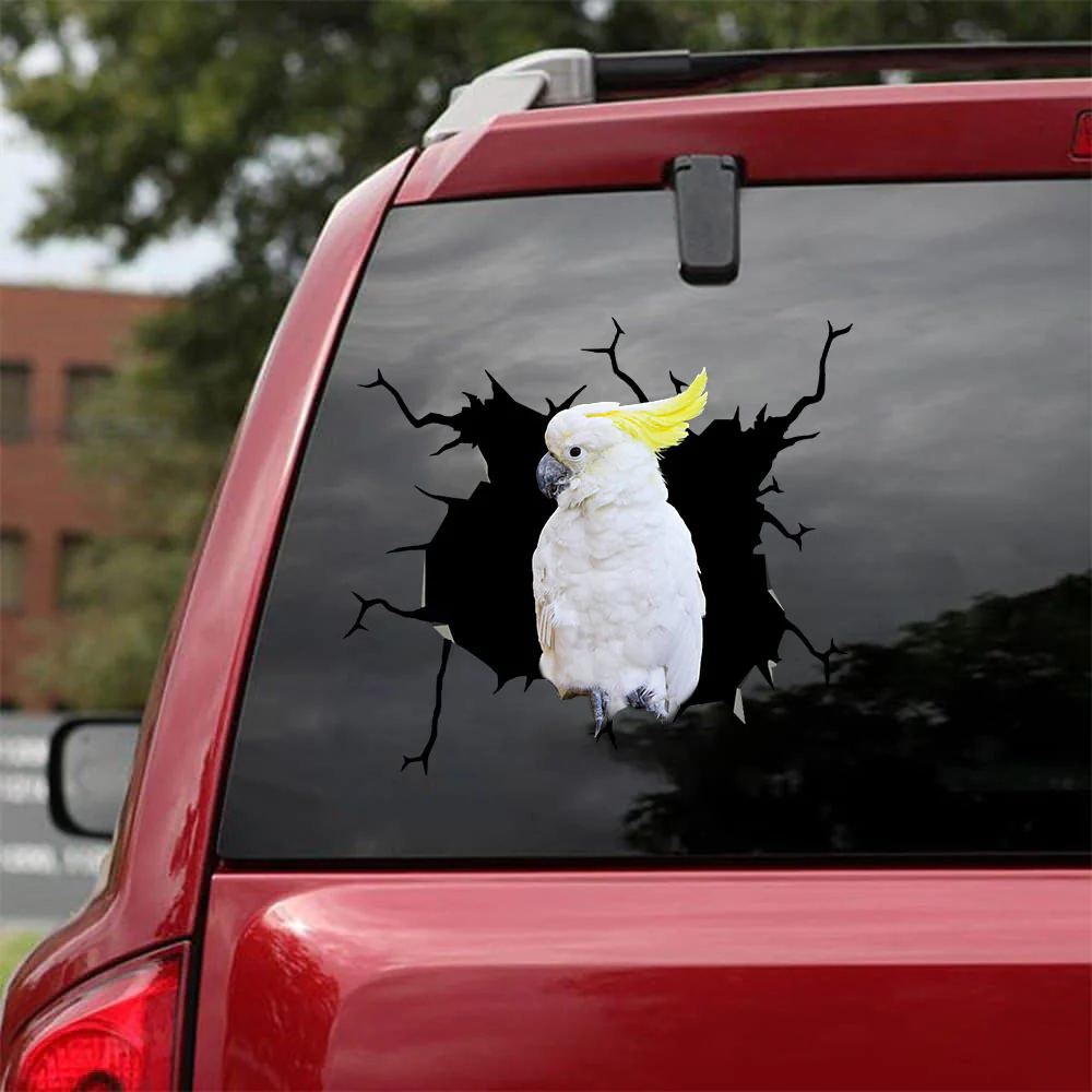 Parrot Crack Stickers Custom Cuteness Overloaded Face Stickers Gifts For Her