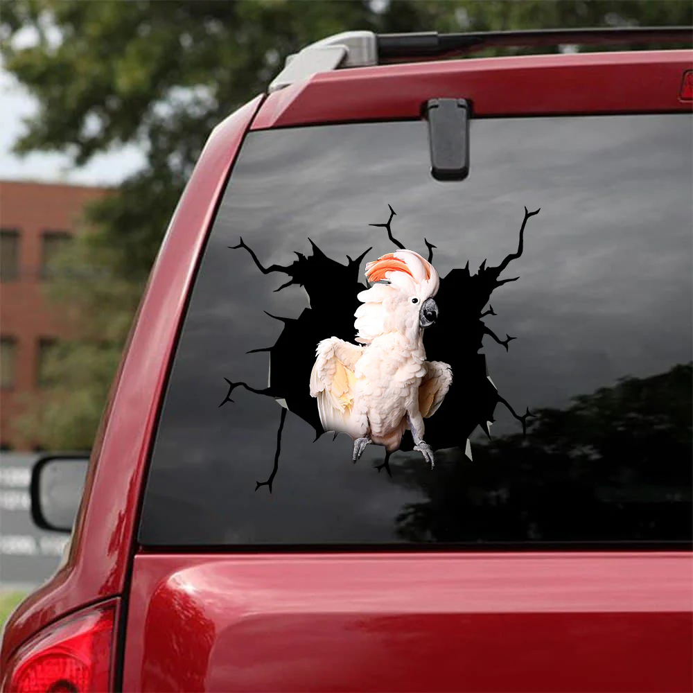 Parrot Crack Stickers Lovely Number Stickers Mother's Day Gift Ideas 2023