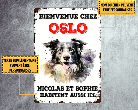 Bienvenue Chez Border Collie Enseigne En Métal