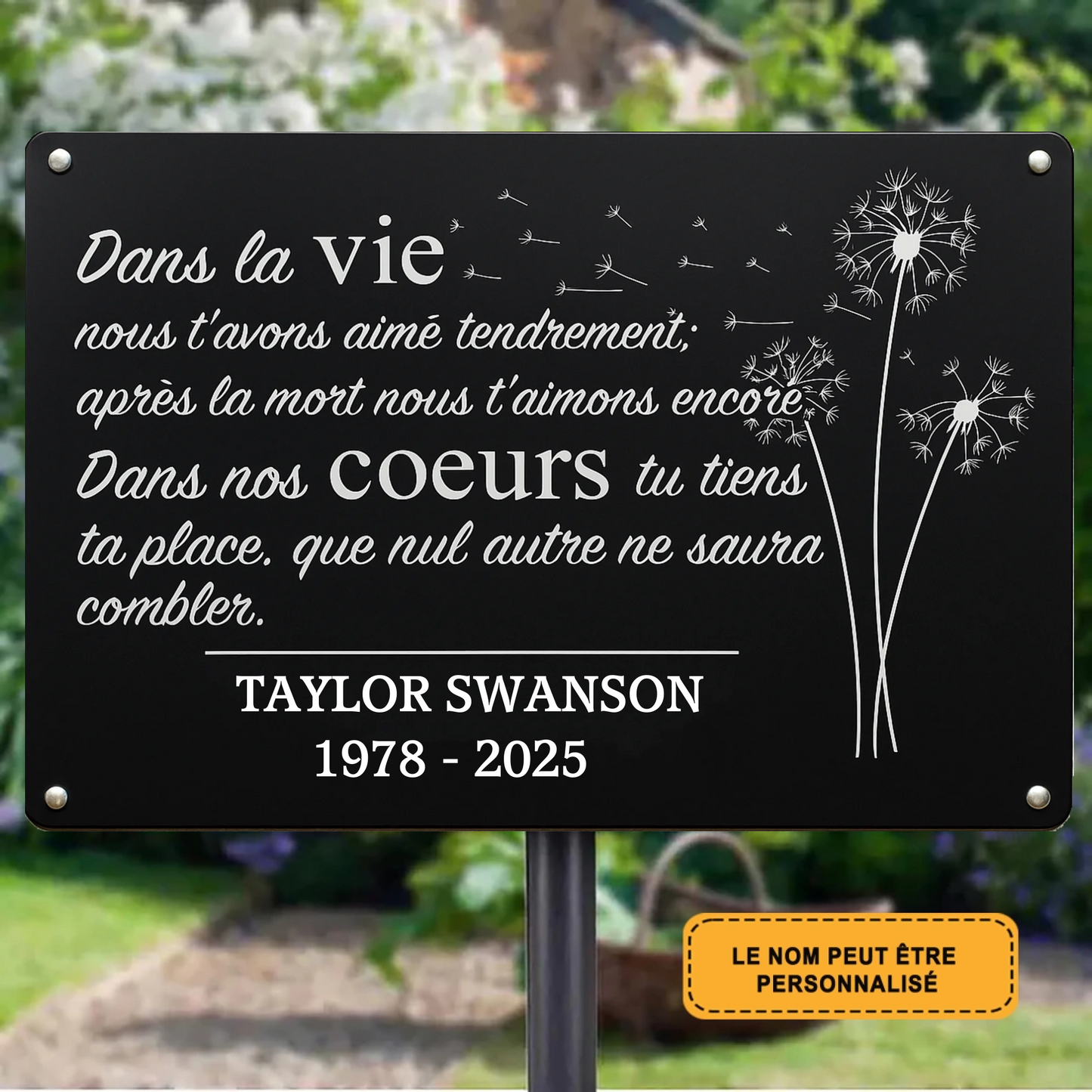 Dans La Vie 2040 Personnalisé Enseigne En Métal