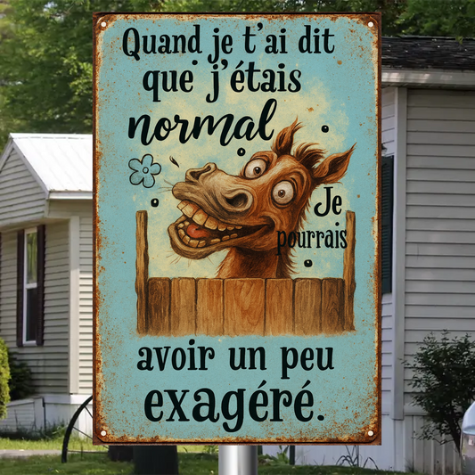 Quand Je T'ai Dit Que J'étais Normal 2167 Personnalisé Enseigne En Métal