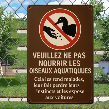 Please Do Not Feed The Birds 2189 Custom Metal Sign