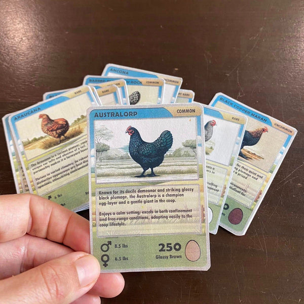 photo_6231034855802649436_y_gr