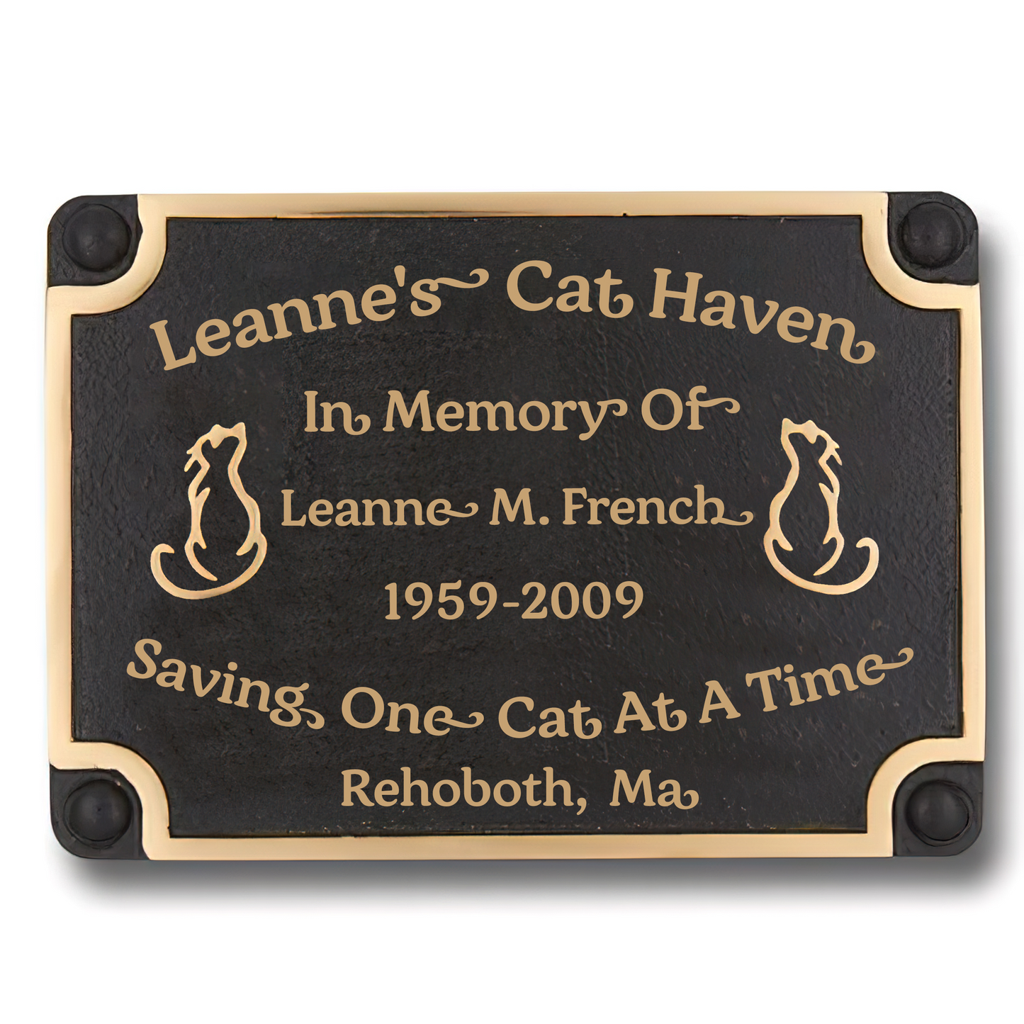 Cat Haven Sauver un chat à la fois Plaques métalliques classiques