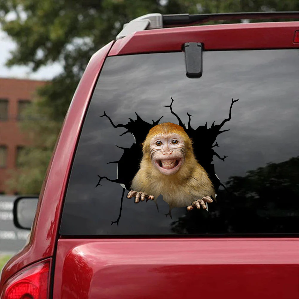 Idées d'autocollants drôles de crack de singe Autocollants d'abeille chaude Cadeaux drôles