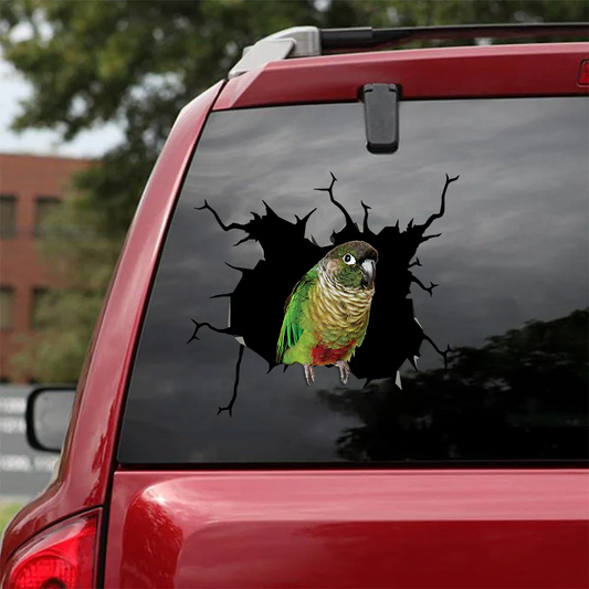 Green Cheek Conure Parrot Crack Decals For Walls Funny Faces Window Decals For Business Christmas Gifts For Husband