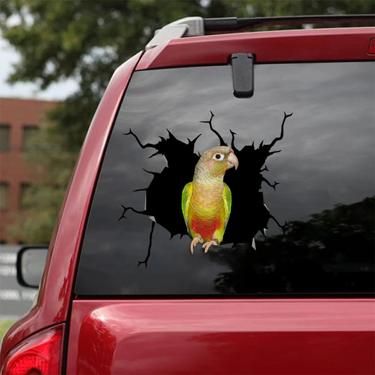 Parrot Crack Sticker Stickers Be Cute Magnetic Stickers Valentines Gifts For Her