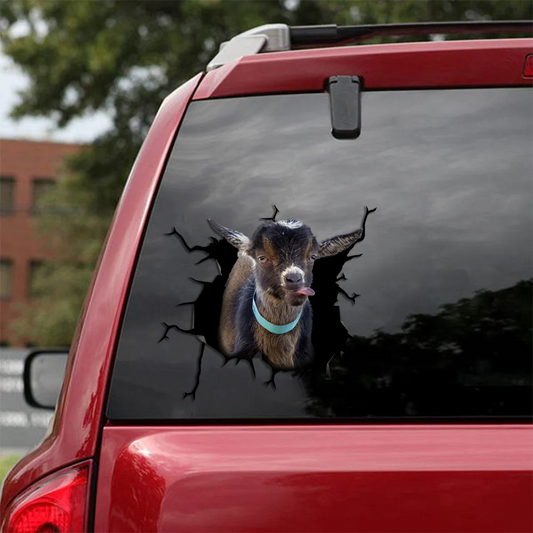 Pygmy Goat Crack Bumper Sticker A Cute Face Stickers Cadeaux pour la belle-mère