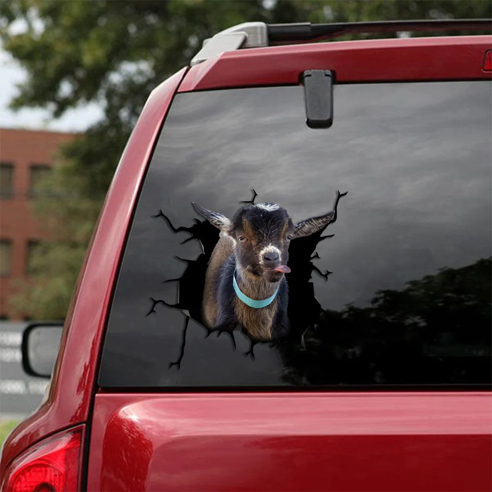 Pygmy Goat Crack Autocollant De Voiture Un Visage Mignon Autocollants Cadeaux Pour Belle-Mère