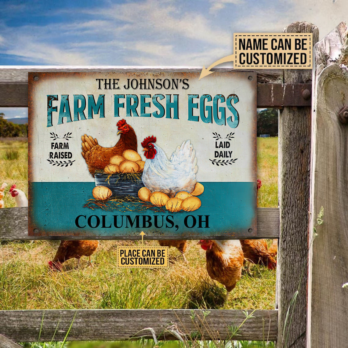 Personalize Chicken Coop Farm Fresh Eggs Farm Raised Laid Daily Classic Metal Signs